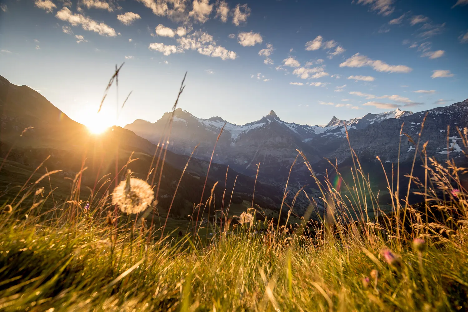 Mach dir #DiniWält: Entdecker-Kampagne für die Jungfrau Region